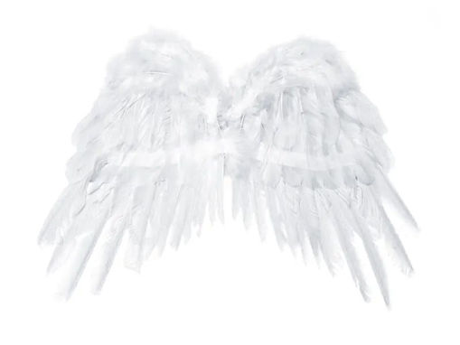 Picture of ANGEL WINGS WHITE 53X37CM